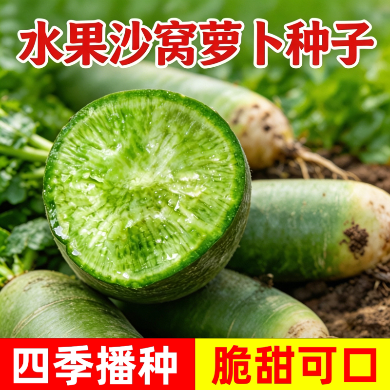 沙窝水果萝卜种子里外青绿皮萝卜种籽绿肉口感脆甜高产蔬菜种子