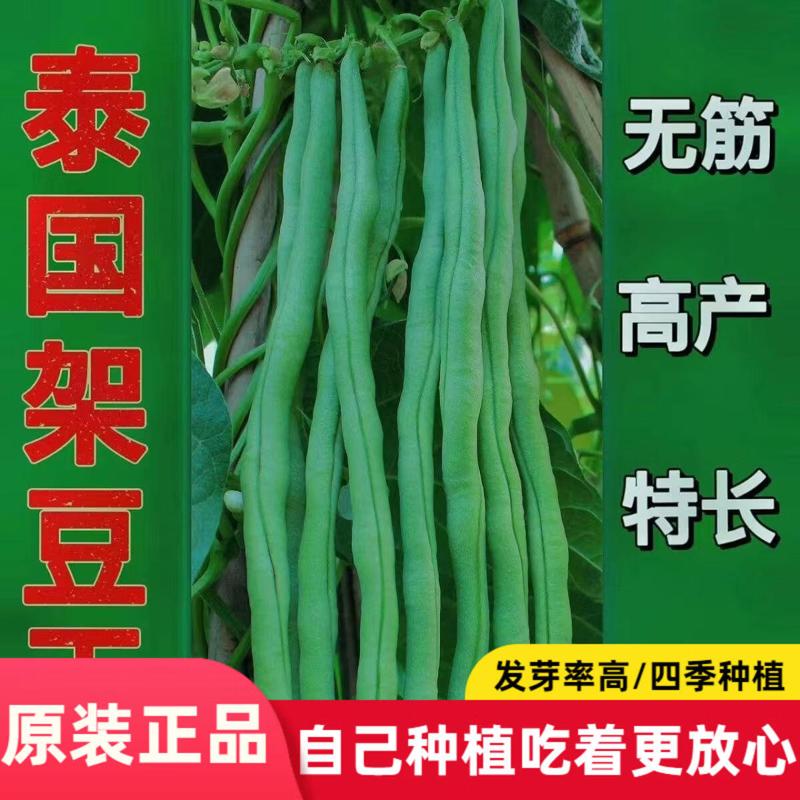 高产架豆王种子特长型无筋豆种子豆蔬菜种籽多规格随机袋装