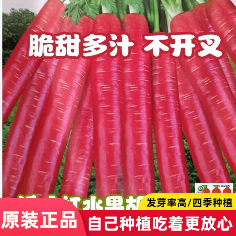 透心红萝卜种子红皮红心水果胡萝卜种子红胡萝卜种籽高产耐热耐寒