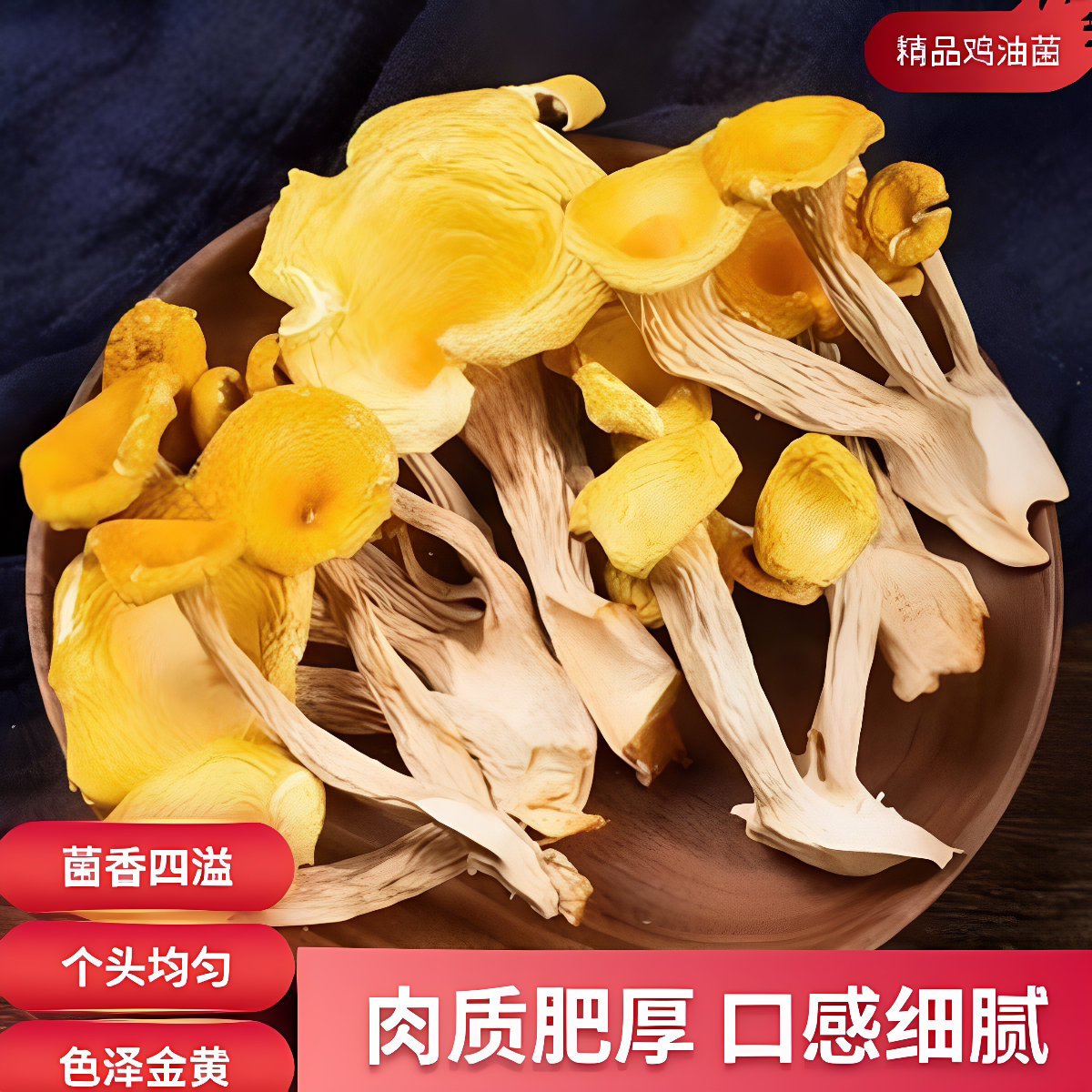 陕西商南|鸡油菌500g 干货菌菇煲汤食材食用农产品天然