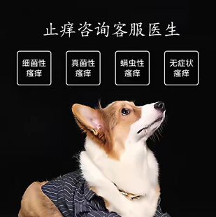 进口咀嚼片宠物止痒药皮肤病爱宠波16毫克细菌真菌湿疹特异性皮炎