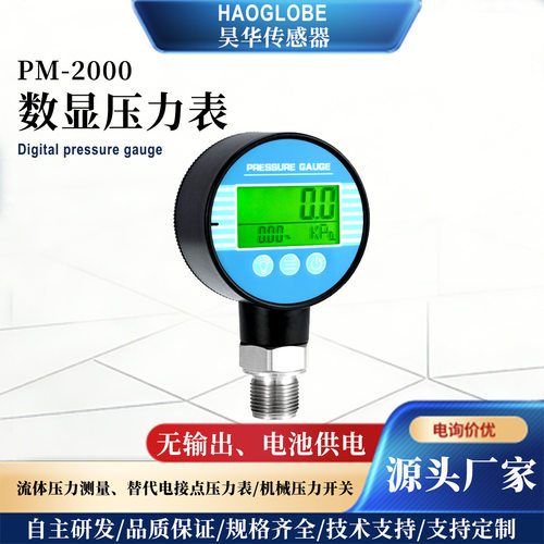 PM-2000智能数显压力表 气压液位控制器现场显示 温度压力开关