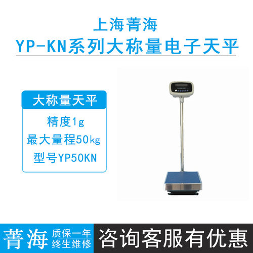 上海菁海YP50KN/YP200KN-5/YP300KN-10电子磅秤大称量落地式天平
