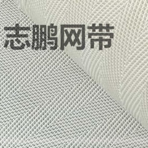 厂家直销污泥脱水滤带pet平纹脱水污水处理脱水过滤布现货