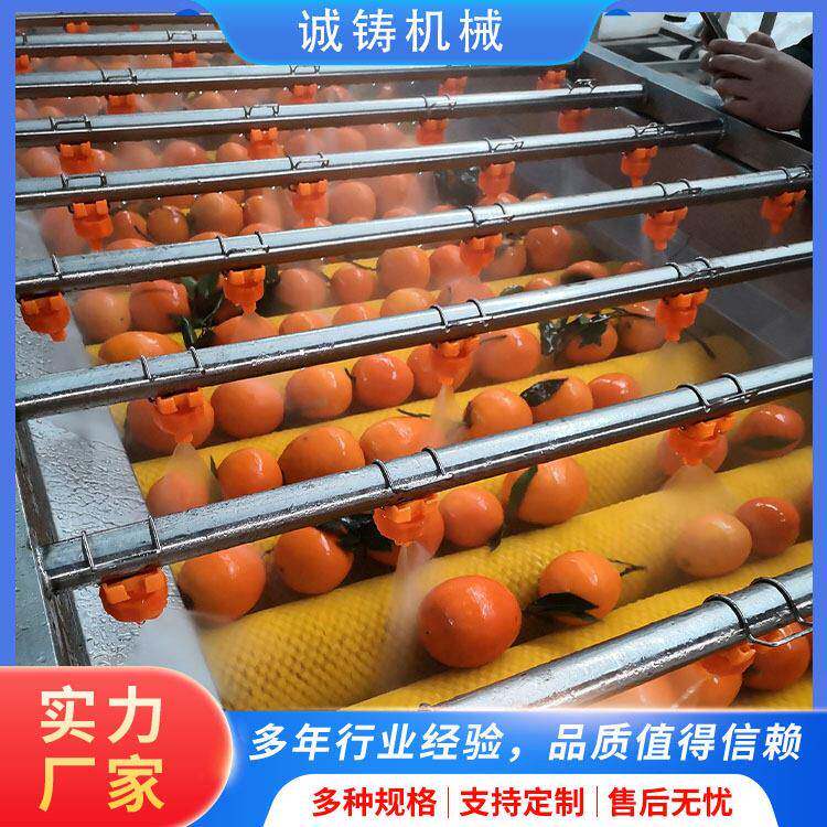 全自动果蔬清洗机耙耙柑气泡毛刷洗果线柠檬柑桔平行毛辊清洗机