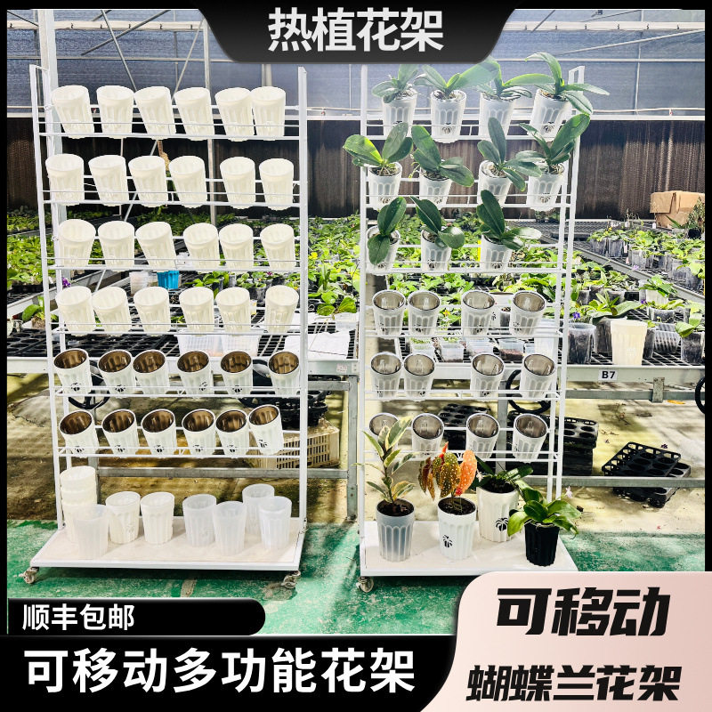 落地式蝴蝶兰专用花架可移动高端客厅蝴蝶兰石斛兰收纳神器摆放架图片