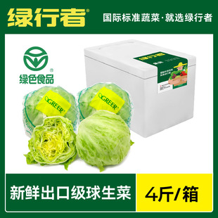 【绿行者】出口级新鲜球生菜4斤
