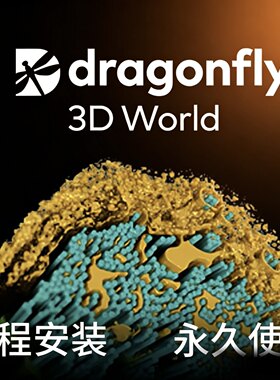 Dragonfly三维图像处理软件2025/2024支持远程安装永久使用