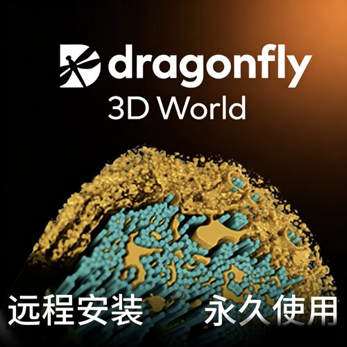 Dragonfly三维图像处理软件2025/2024支持远程安装永久使用