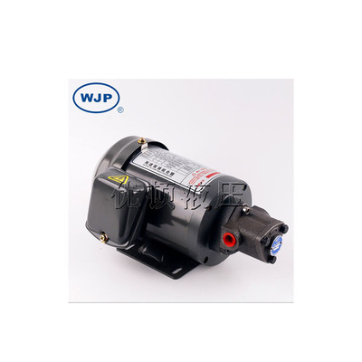 YOUDUN MOTOR WJP优顿液压电机WJP ROP12 OIL PUMP叶片泵