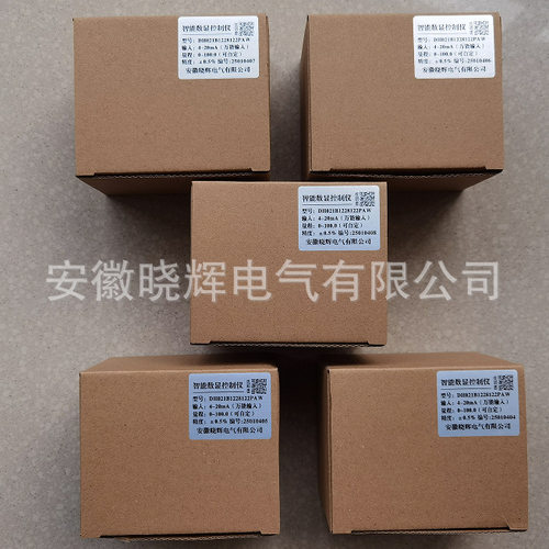 DH021B1228122PAW智能数显控制仪XH021B1228122PAW