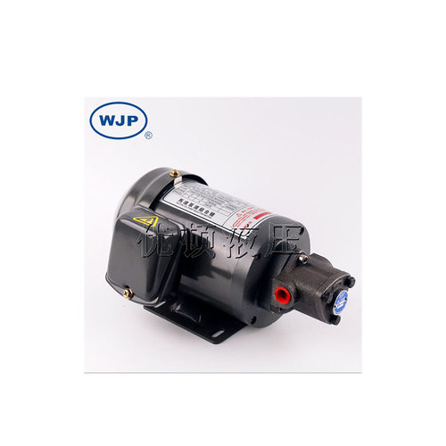 YOUDUN MOTOR WJP优顿液压电机WJP ROP12 OIL PUMP叶片泵