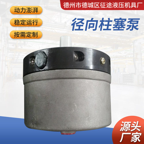 超高压径向柱塞泵0-150MPA工厂供应小型低噪音大流量RK系列柱塞泵