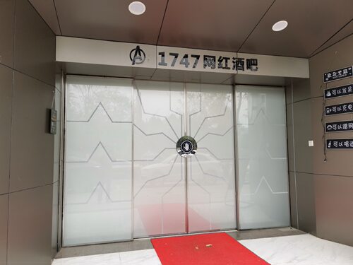 【杭州赛盾可私人定制】网红LED灯串科幻自动感应门