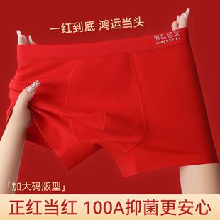 男士内裤本命年红色纯棉抗菌裆2025新款青少年大码男生平角短裤衩