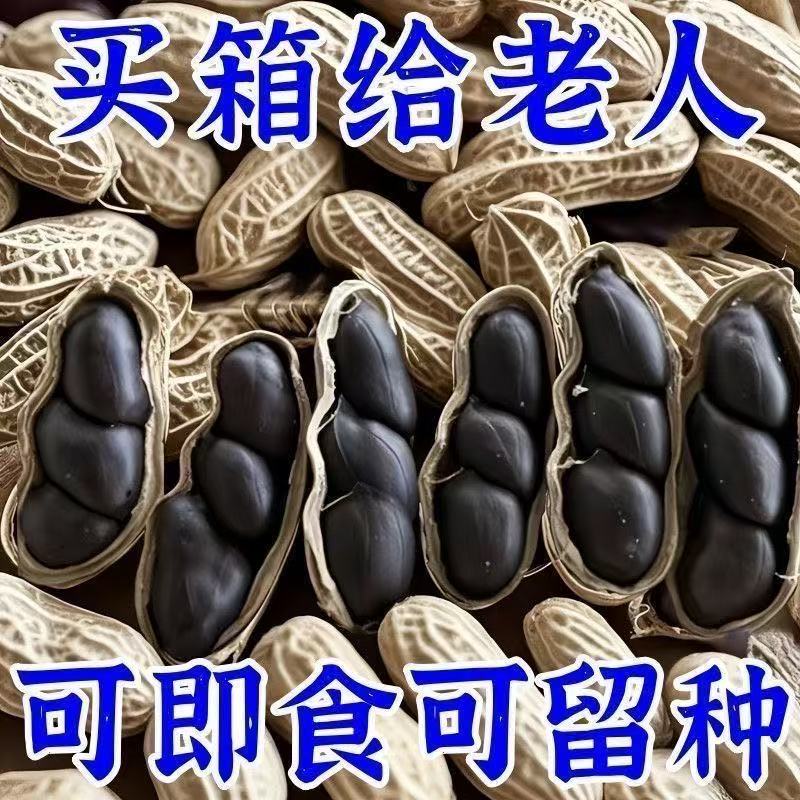 5斤装】云南正宗富硒生黑花生带壳生黑花生黑花生坚果花生批发