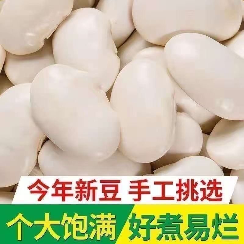 热卖中】正宗云南大白豆大白芸豆白豆雪豆炖汤大白云豆干货炖排骨