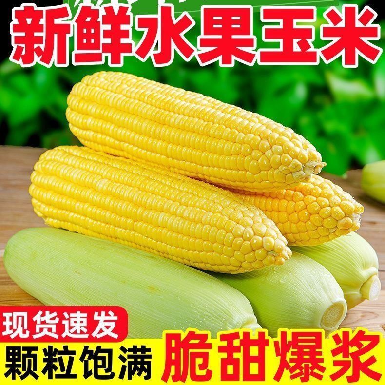 【特价5斤】现摘水果甜玉米新鲜超甜可生吃爆浆黄金玉米带皮整箱