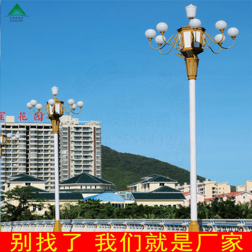 景区组合灯LED中华灯景观照明路灯8米10米广场来图可制厂家直销