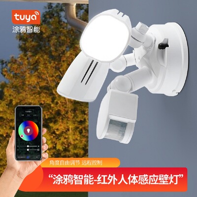 欧美新款涂鸦智能庭院壁灯人体红外感应安全灯亚马逊新款车库壁灯