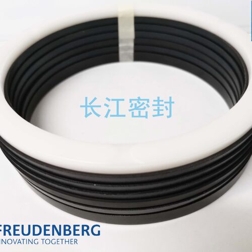 50-65-6.5-22.5 9660-1 100-125-40 160-190-6 ES德国MERKEL油封