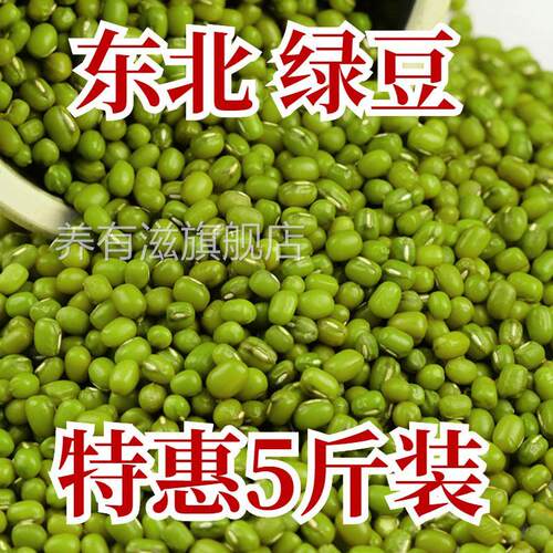 新鲜绿豆 5斤 发芽绿豆笨绿豆农家自产五谷杂粮煮粥