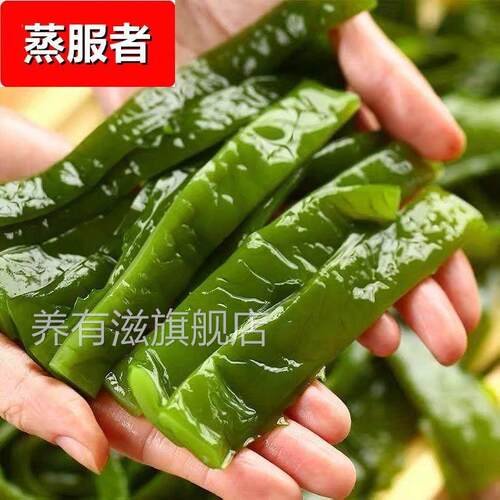 海带梗段海白菜5斤海白菜非即食新鲜整箱海桔梗1斤