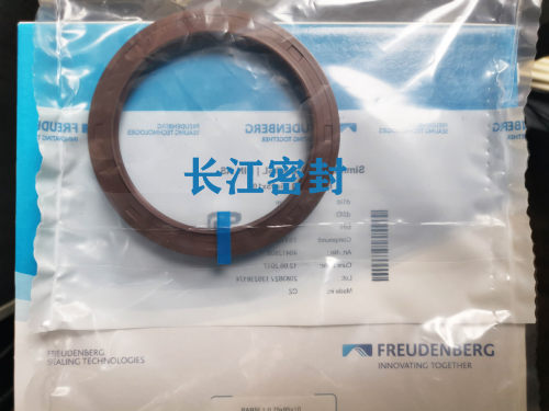 CFW 101 BABSL1 120-150-10-7.5 SIMMERRING DIN AS氟胶骨架油封