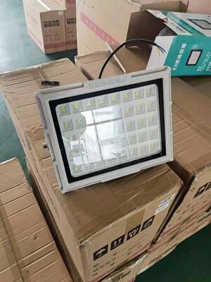 LED圆形防爆灯投光灯免维护50W-300W加油站石油车间化工厂防爆灯