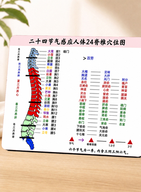 中医养生二十四节气人体脊椎穴位图桌面学习装饰摆件