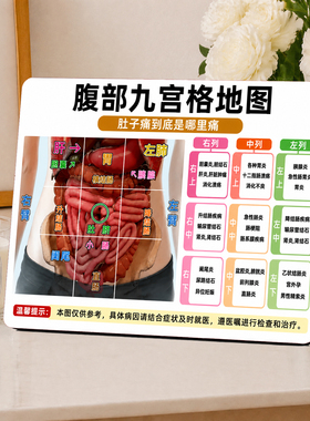 简约实用中医腹部九宫格地图科普参考提示家居桌面装饰摆件