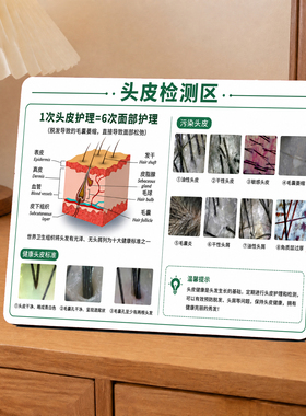 养发馆头皮检测区提示牌美发生发馆护理宣传展示桌面摆件