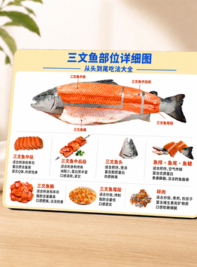 三文鱼部位吃法科普店内摆件