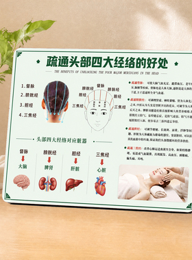 疏通头部四大经络好处科普展示牌养生馆养发馆桌面装饰摆件