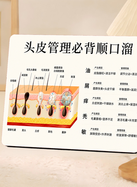 头皮管理养发馆面诊科普摆件