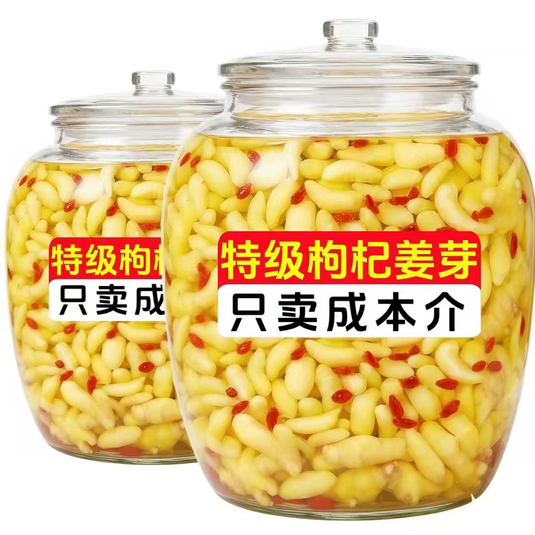 头茬嫩生姜】山东特产枸杞嫩姜芽图片
