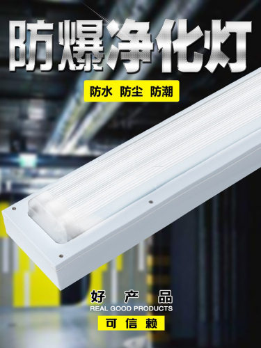 T8防爆净化灯单管双管40W日光灯全套仓库车间led防腐洁净荧光灯架