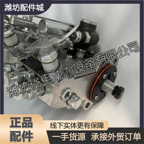 高压油泵13022387喷油泵总成适用于潍柴道依茨WP6船用发动机配件