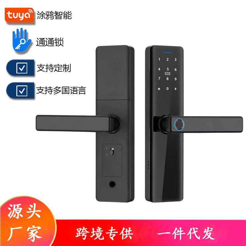 涂鸦指纹锁密码锁房门智能锁多国语言跨境外贸木门锁酒店公寓锁图片