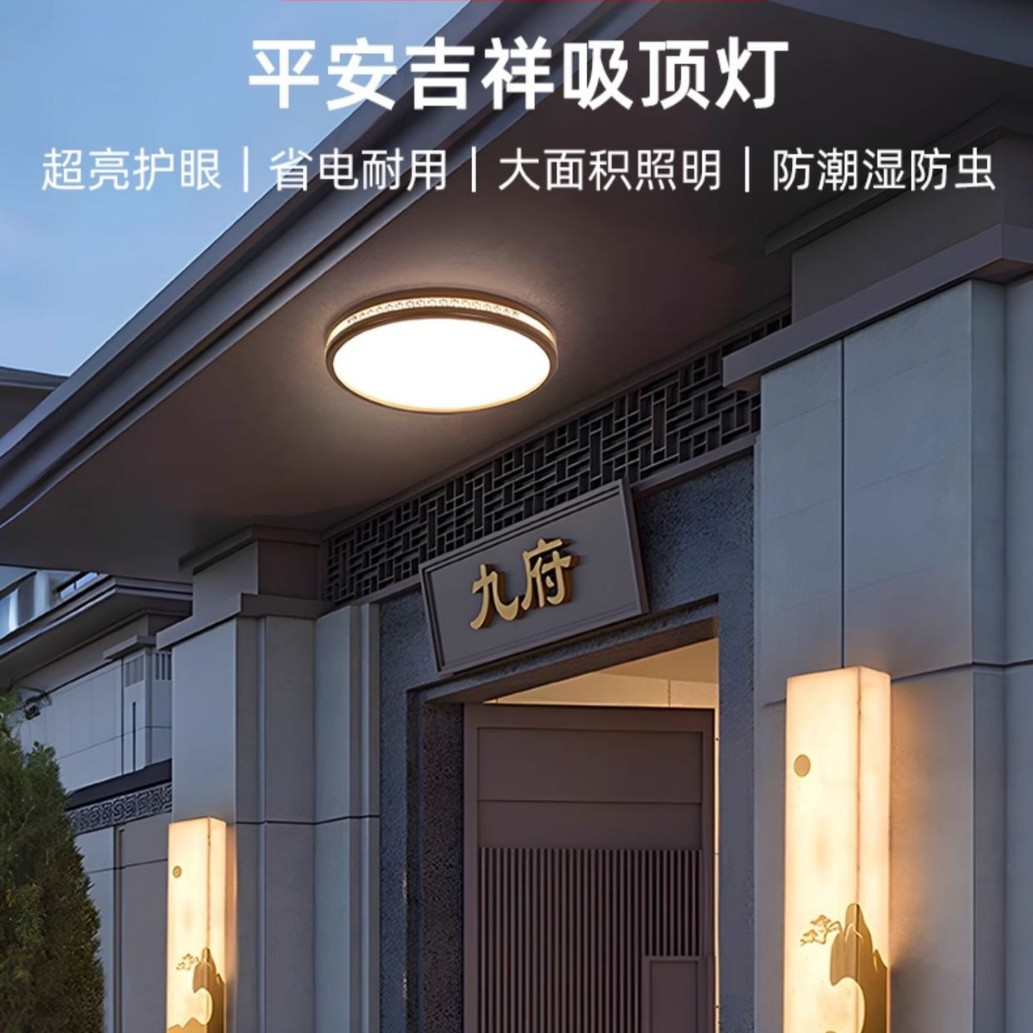 新中式大门口吸顶灯别墅入户灯门厅灯大门顶灯门楼庭院阳台照明灯图片
