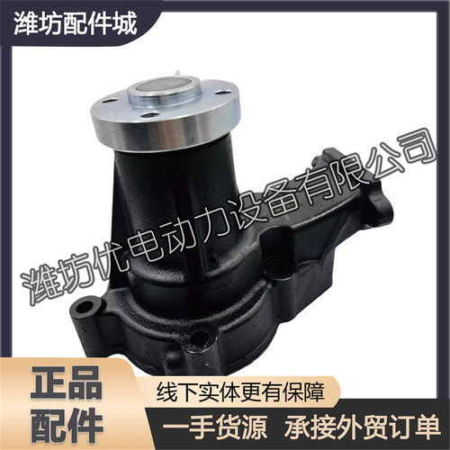 1001554459水泵总成适用于潍柴WP4.1机型锐动力柴油发动机装机件