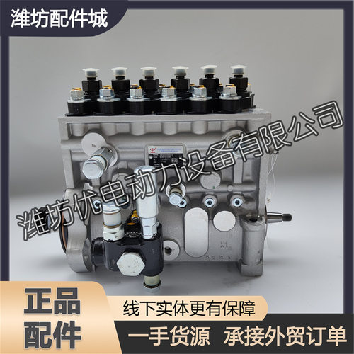 潍柴博杜安6M26柴油发动机330205000014高压喷油泵总成BH6PZ140R