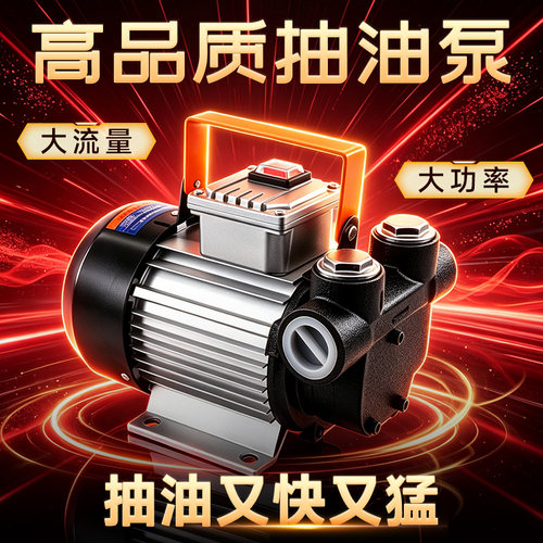 12V/24V/220V大功率电动抽油泵
