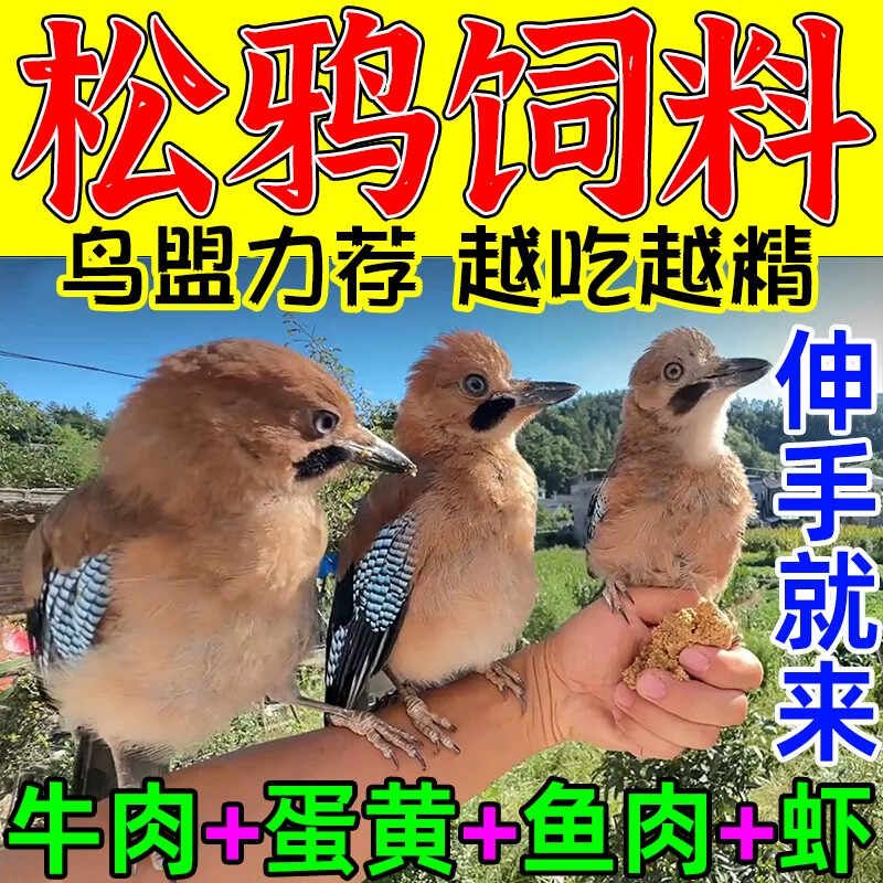 松鸦饲料八哥幼鸟雏崽专用粮喜鹊鹦鹉鹩哥鸟食乌鸫红嘴山鸦蓝鹊粮