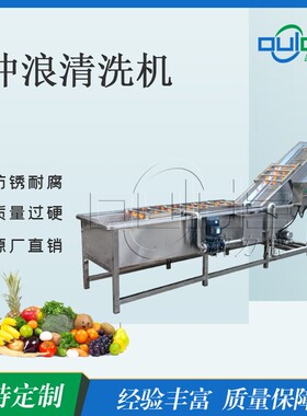 大型冲浪式清洗机叶菜类压喷淋清洗线食品加工专用清洗设备
