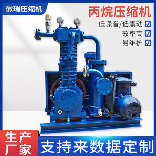徽瑞厂家直销ZW0.4-16-24皮连丙烷活塞式压缩机低噪音低震动
