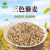 甘肃杂粮三色藜麦米白藜麦黑藜麦红藜麦三混合 包500g 真空装
