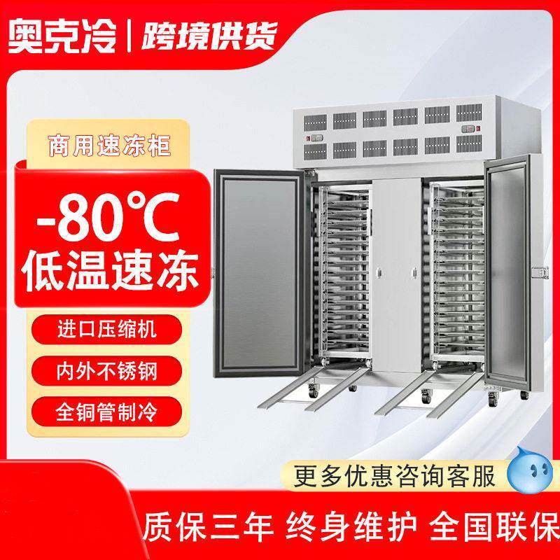 烘焙冰箱商用烤盘插盘式冷冻柜风冷冷冻柜水饺包子冷藏柜速冻急冻