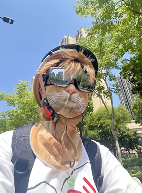 社恐福音！3D仿真橘猫脸面罩夏季