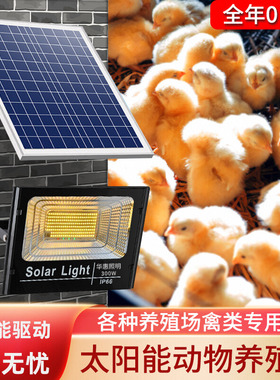 led太阳能暖光养殖灯超亮暖黄光灯鸡舍鸡棚猪场照明太阳能节能灯